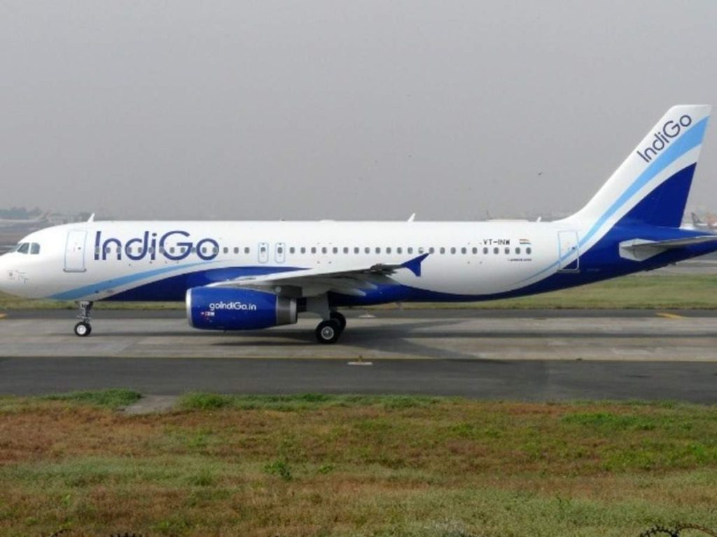 indigo